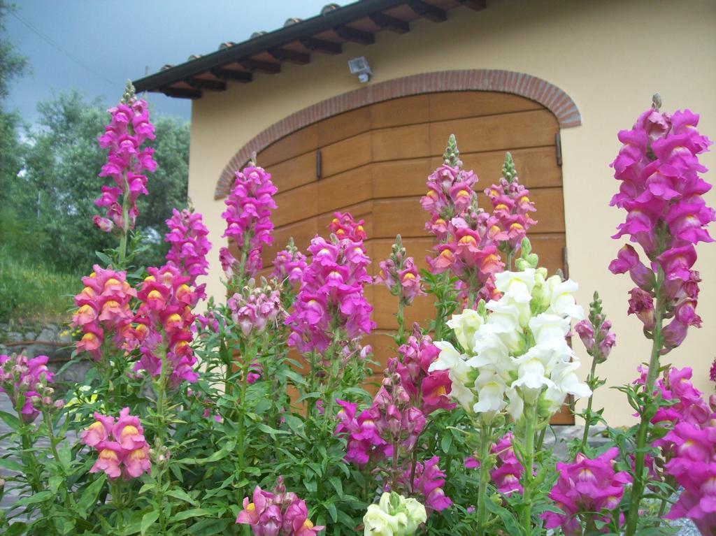 Apartamento La Casa Dei Limoni Matraia Exterior foto